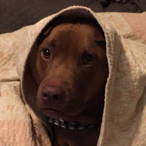 Meet your Posher, Kaitlyn